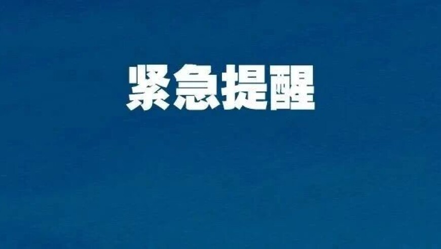 半熟4体育生杀死了比赛,富甲天下资料大全免费,多元化方案执行策略_开发版V15.43